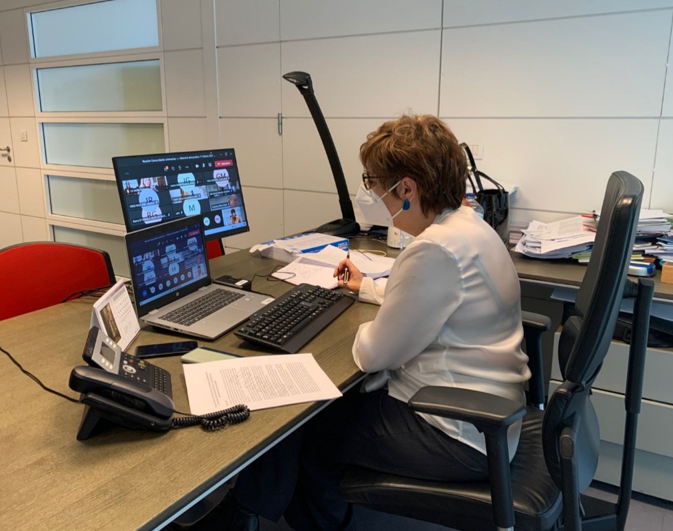 La Directora General de Emigración y Memoria Democrática del Gobierno del Principado de Asturias, Begoña Serrano, en la reunión virtual